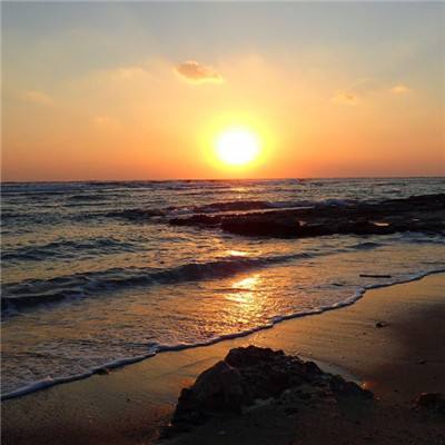 球探比分旧版大全手机app下载