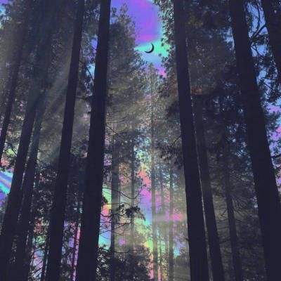 ky体育最新版下载地址