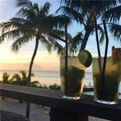 管家婆一码一肖资料