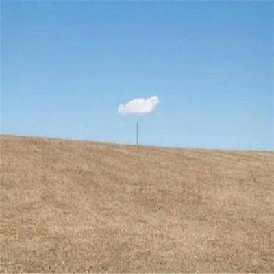 kaiyun·体育app下载